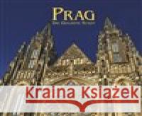 Prag - Die Goldene Stadt Salfellner, Harald 9783899192469 Vitalis