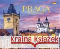 Praga Harald Salfellner 9783899198669