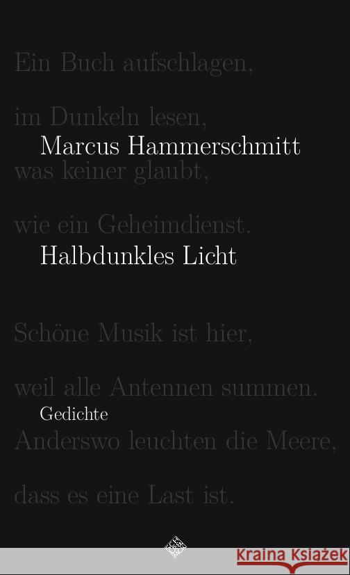 Halbdunkles Licht Hammerschmitt, Marcus 9783899304480 Schiler & Mücke Verlag