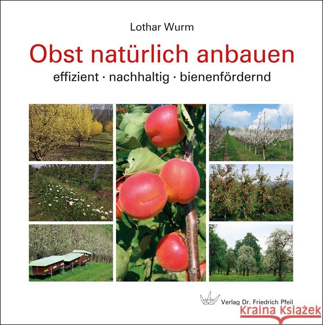 Obst natürlich anbauen Wurm, Lothar 9783899372984