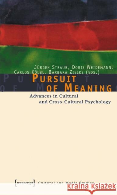 Pursuit of Meaning: Advances in Cultural and Cross-Cultural Psychology Straub, Jürgen 9783899422344 Transcript Verlag, Roswitha Gost, Sigrid Noke