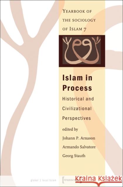 Islam in Process: Historical and Civilizational Perspectives (Yearbook of the Sociology of Islam 7) Johann P. Arnason, Armando Salvatore, Georg Stauth 9783899424911
