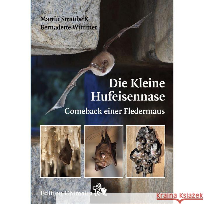 Die Kleine Hufeisennase Straube, Martin, Wimmer, Bernadette 9783899731217