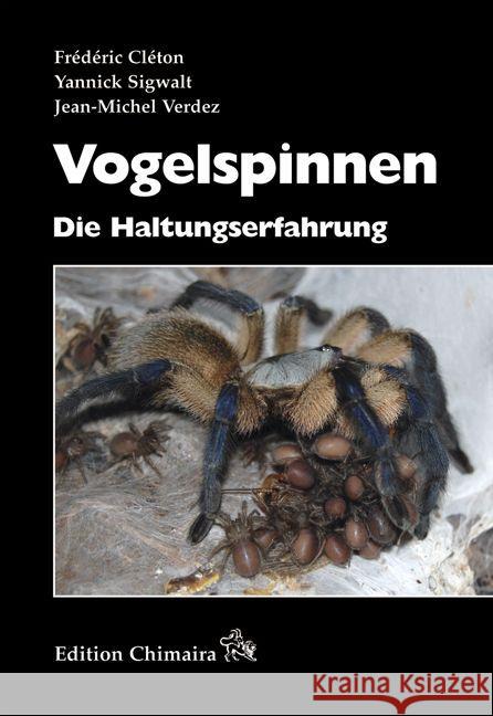 Vogelspinnen : Die Haltungserfahrung Cléton, Frédéric; Sigwalt, Yannick; Verdez, Jean-Michel 9783899733013 Chimaira