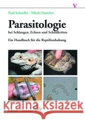 Parasitologie bei Schlangen, Echsen und Schildkröten : Ein Handbuch für die Reptilienhaltung Schneller, Paul ; Pantchev, Nikola  9783899734720 Chimaira