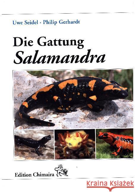 Die Gattung Salamandra : Geschichte - Biologie - Systematik - Zucht Seidel, Uwe; Gerhardt, Philip 9783899735222 Chimaira