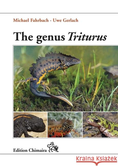 The genus Triturus : History · Biology · Systematics · Captive Breeding Fahrbach, Michael; Gerlach, Uwe 9783899735277