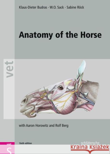 Anatomy of the Horse  9783899936667 Schlutersche