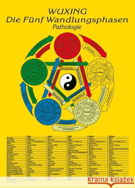 Wuxing Die Fünf Wandlungsphasen - Pathologie, Tafel Ploberger, Florian 9783901618925 Bacopa