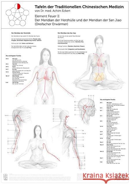 Element Feuer, 1 Tafel. Tl.2 : Der Meridian der Herzhülle und der Meridian der San Jiao (Dreifacher Erwärmer) Eckert, Achim 9783902735669 Bacopa