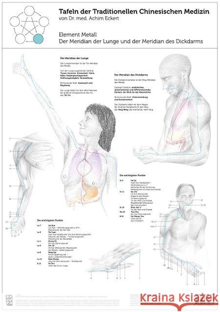 Element Metall, 1 Tafel : Der Meridian der Lunge und der Meridian des Dickdarms Eckert, Achim 9783902735683 Bacopa