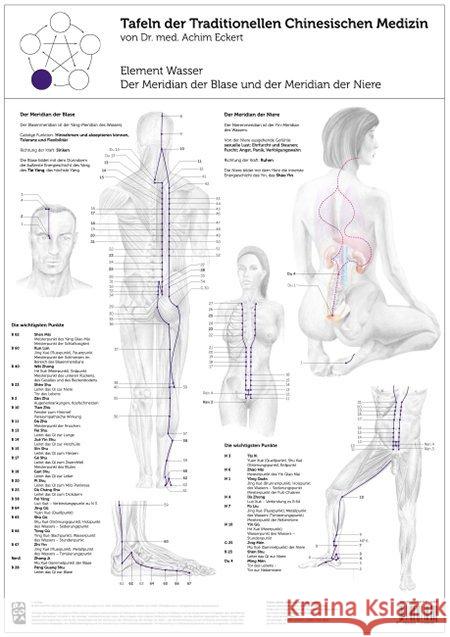 Element Wasser, 1 Tafel : Der Meridian der Blase und der Meridian der Niere Eckert, Achim 9783902735690 Bacopa