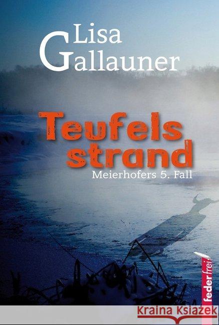 Teufelsstrand : Meierhofers 5. Fall Gallauner, Lisa 9783902784568 Federfrei Verlag