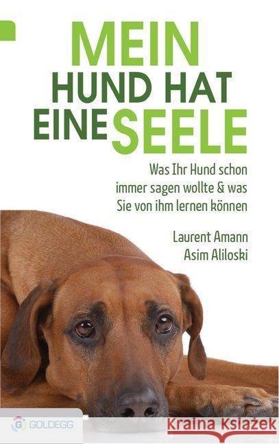 Mein Hund hat eine Seele : Was Ihr Hund schon immer sagen wollte & was Sie von ihm lernen können Amann, Laurent; Aliloski, Asim 9783902991362
