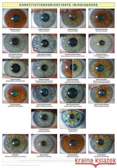 Konstitutionsorientierte Irisdiagnose, Wandtafel Garvelmann, Friedemann 9783903071568 Bacopa