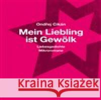 Mein Liebling ist Gewölk Ondřej Cikán 9783903124219