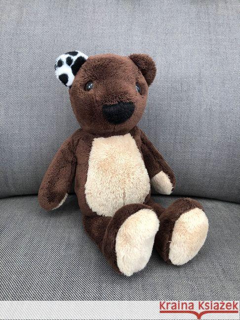 Teddy Eddy Plüschbär Hofer, Ingrid 9783903240094