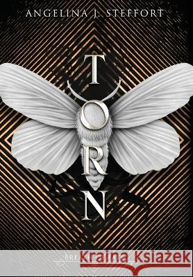 Torn Angelina J. Steffort 9783903357471 Mk