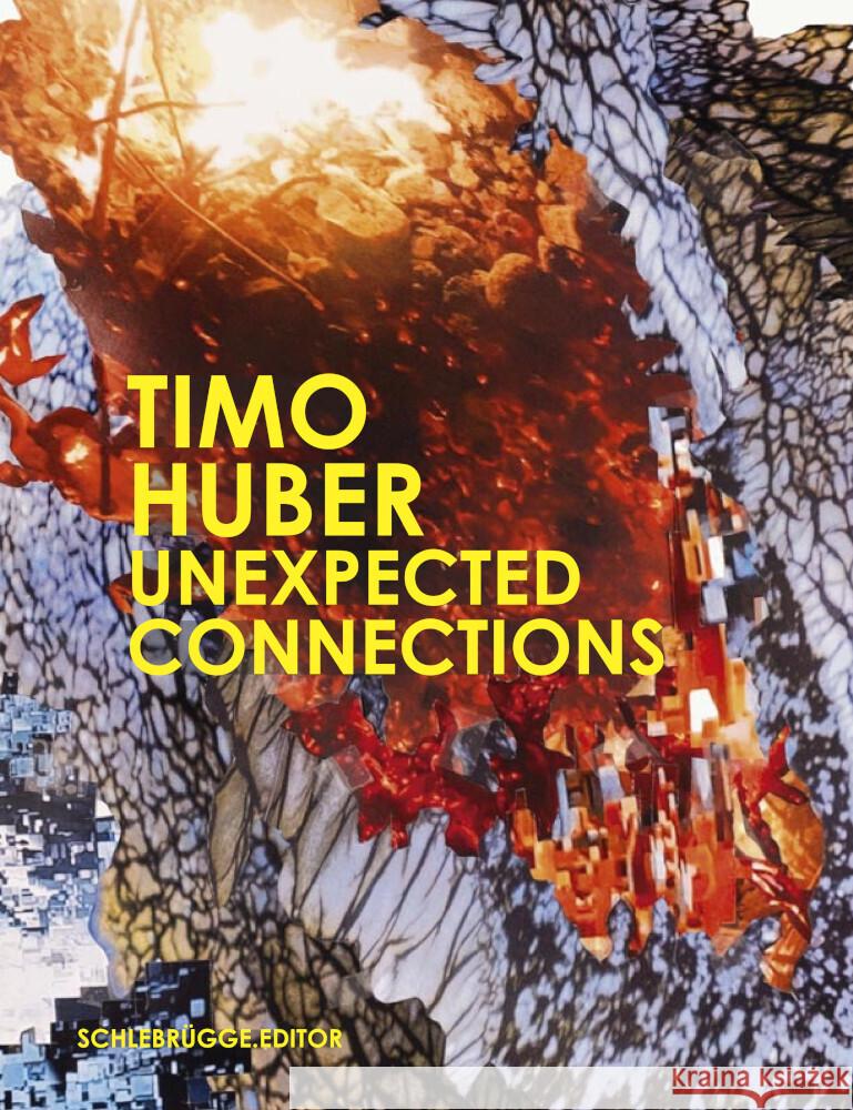 TIMO HUBER Unexpected Connections Timo, Huber 9783903447004 Schlebrügge.Editor