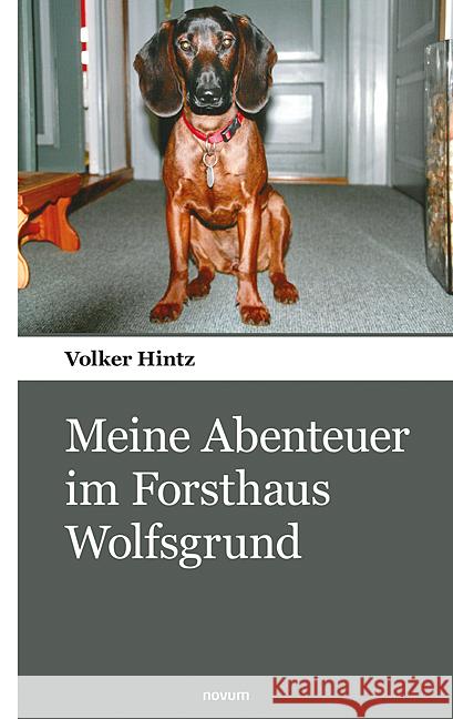 Meine Abenteuer im Forsthaus Wolfsgrund Hintz, Volker 9783903468146