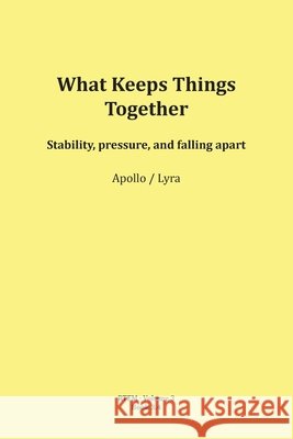 What Keeps Things Together Mario Schipflinger 9783903679153 Published by Apollo (Mario Schipflinger)