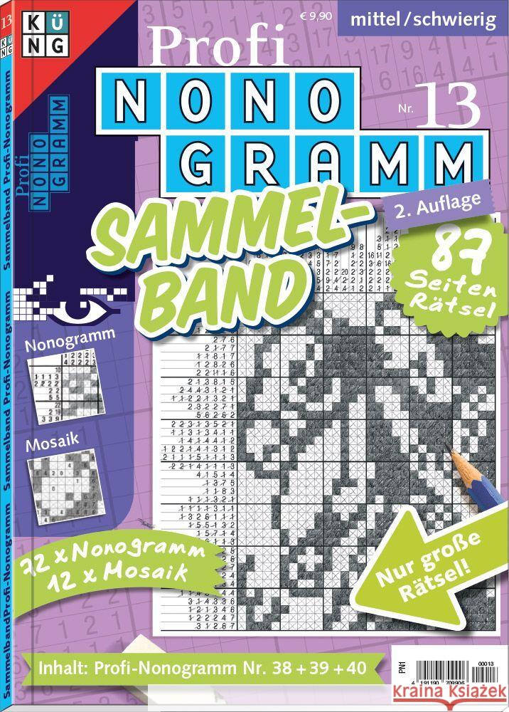Profi-Nonogramm Sammelband Nr. 13 Conceptis Puzzles 9783905573596 Keesing