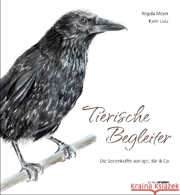 Tierische Begleiter : Die Seelenkräfte von Igel, Bär & Co Meyer, Regula 9783905752502 Edition Spuren