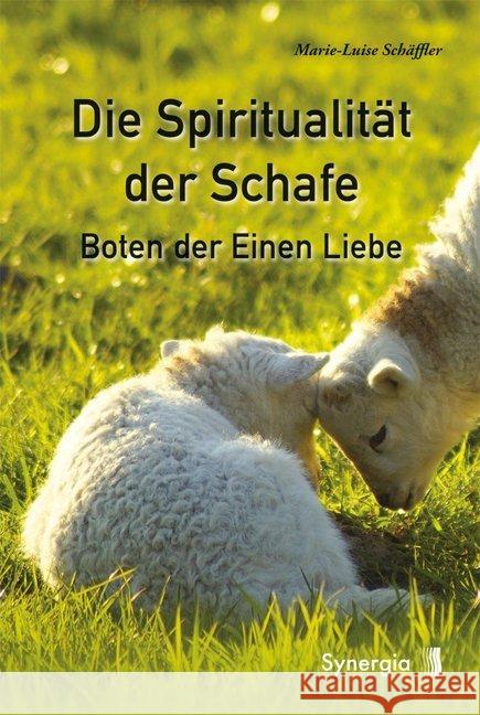 Die Spiritualität der Schafe : Boten der Einen Liebe Schäffler, Marie-Luise 9783906873855