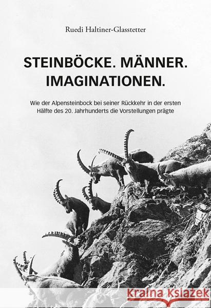 Steinböcke. Männer. Imaginationen. Haltiner-Glasstetter, Ruedi 9783907095225 Edition Somedia