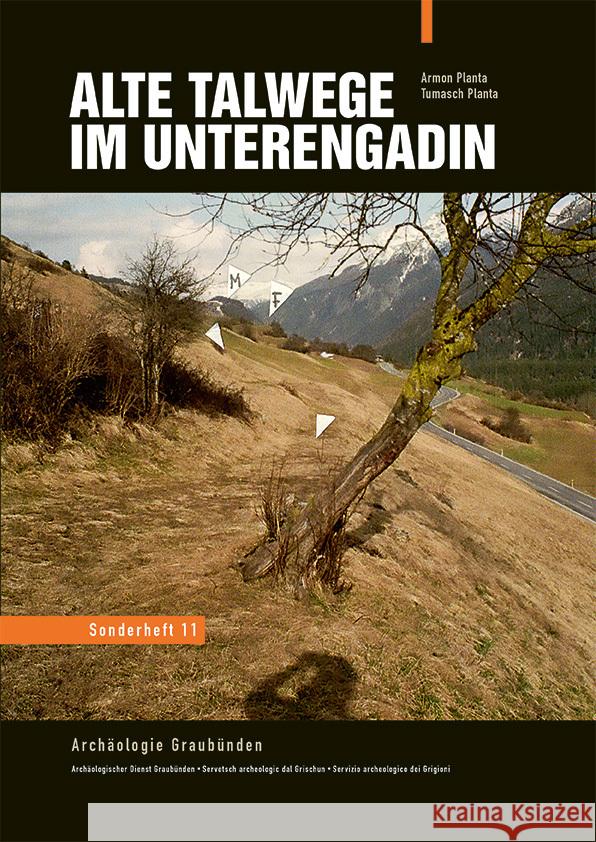 Alte Talwege im Unterengadin Planta, Tumasch, Gaudenz, Steivan 9783907095607 Edition Somedia