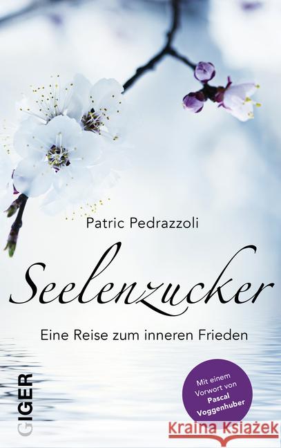 Seelenzucker : Eine Reise zum inneren Frieden Pedrazzoli, Patric 9783907210369 Giger