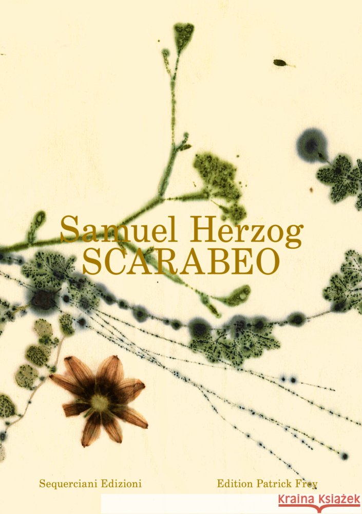 Scarabeo (DE) Herzog, Samuel 9783907236918