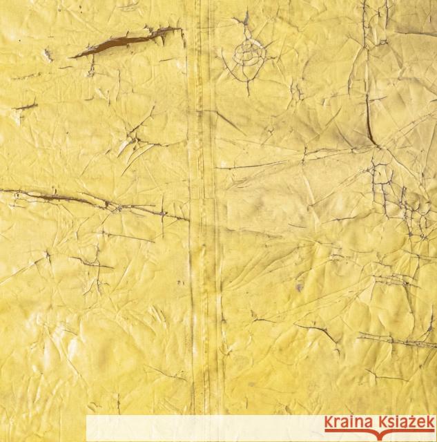 David Hammons  9783907493137 Hauser & Wirth