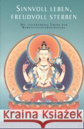 Sinnvoll leben, freudvoll sterben : Die tiefgründige Übung der Bewusstseinsübertragung Gyatso, Geshe Kelsang 9783908543282