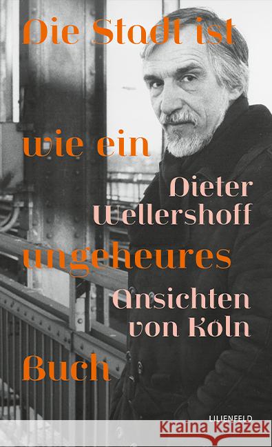 Die Stadt ist wie ein ungeheures Buch Wellershoff, Dieter 9783910266117