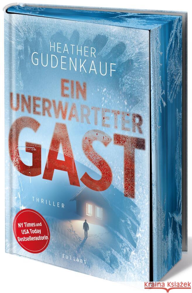 Ein unerwarteter Gast Gudenkauf, Heather 9783910522657