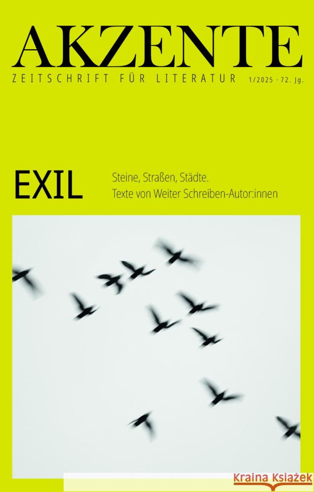 Akzente: EXIL Reich, Annika, Wittig, Mirjam 9783910732513