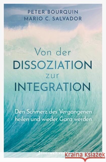 Von der Dissoziation zur Integration Bourquin, Peter, Salvador, Mario C. 9783910856066