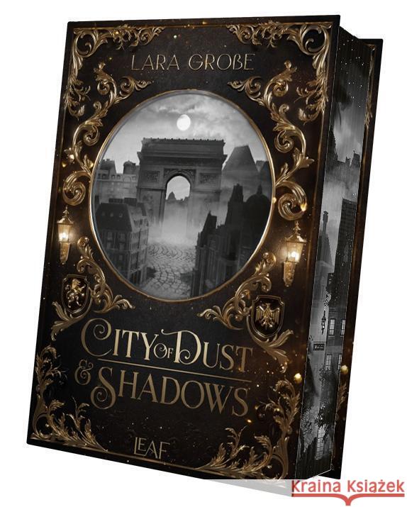 City of Dust and Shadows Große, Lara 9783911244039