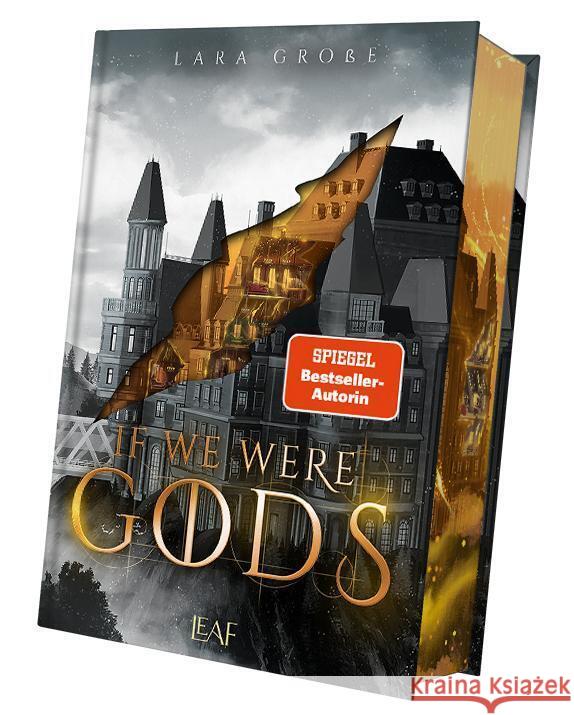 If We Were Gods Große, Lara 9783911244329 LEAF / Bücherbüchse