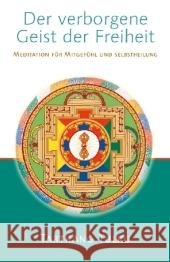 Der verborgene Geist der Freiheit : Meditation für Mitgefühl und Selbstheilung Tarthang Tulku Rinpoche   9783928758116 Dharma Publishing