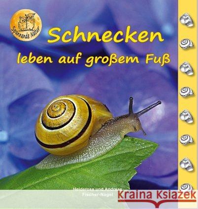 Schnecken Fischer-Nagel, Heiderose; Fischer-Nagel, Andreas 9783930038220