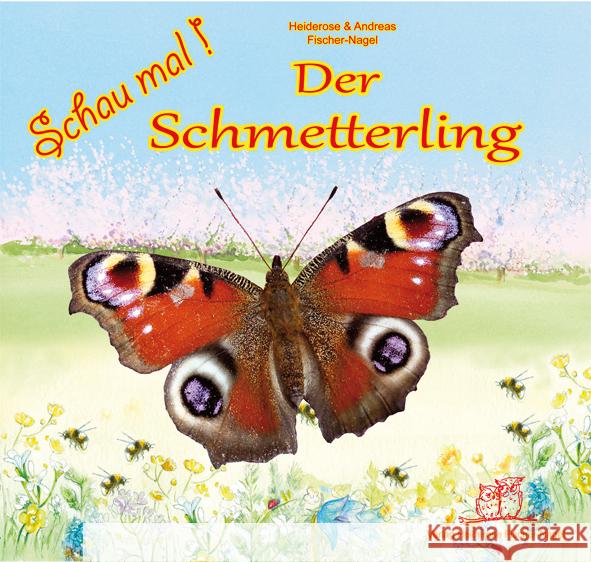 Der Schmetterling : Bilderbuch Fischer-Nagel, Heiderose; Fischer-Nagel, Andreas 9783930038800