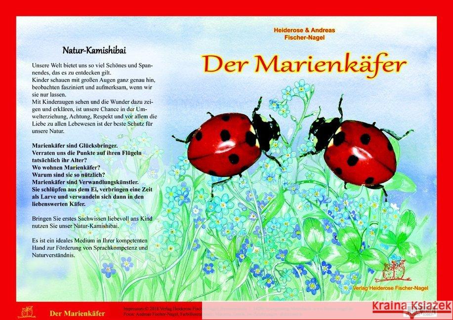 Natur-Kamishibai - Der Marienkäfer Fischer-Nagel, Heiderose; Fischer-Nagel, Andreas 9783930038831
