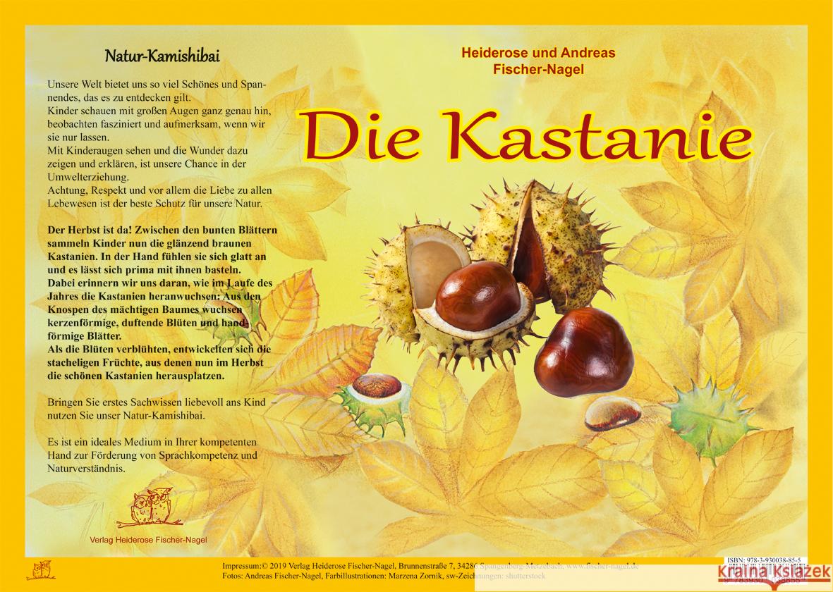 Die Kastanie, Natur-Kamishibai : Naturkamishibai Fischer-Nagel, Heiderose; Fischer-Nagel, Andreas 9783930038855