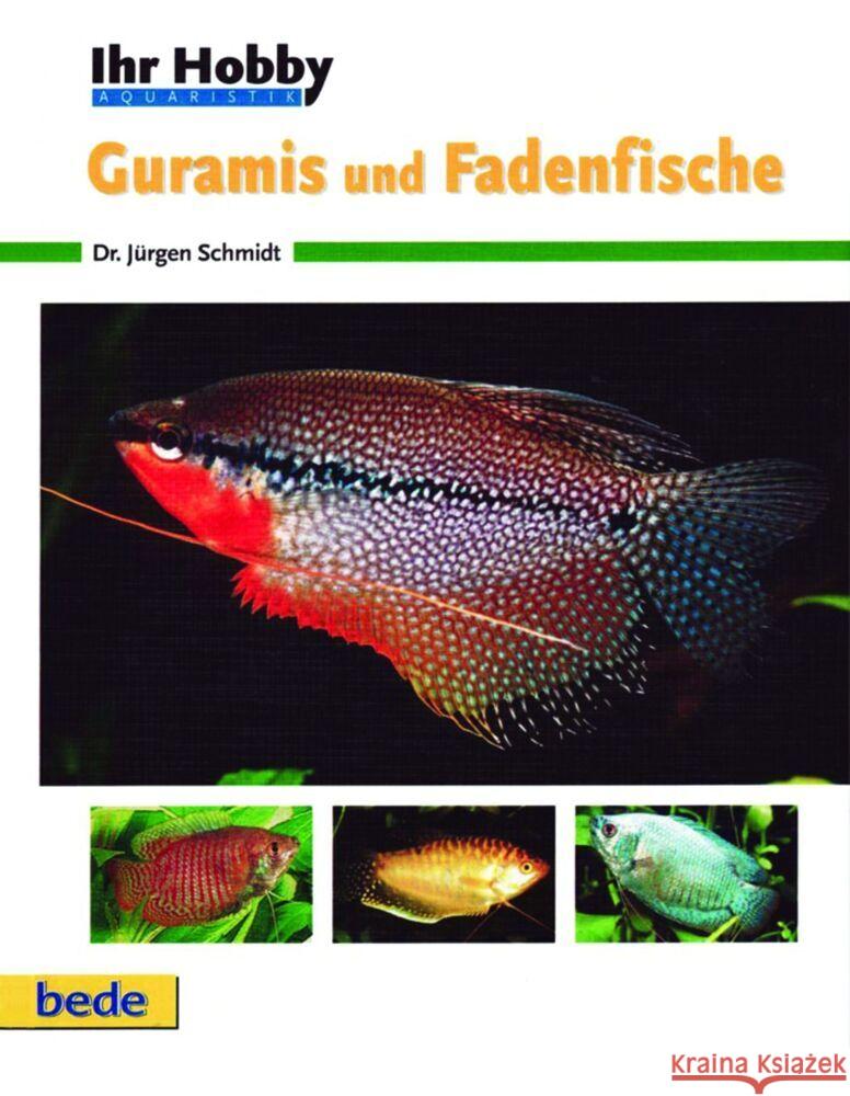 Guramis und Fadenfische Schmidt, Jürgen   9783931792480 Bede