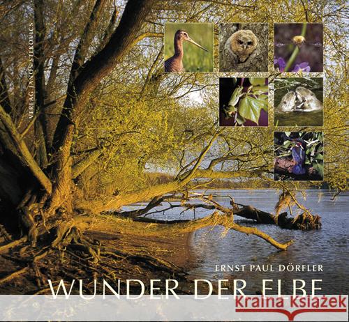 Wunder der Elbe : Biografie eines Flusses Dörfler, Ernst P.   9783932863400 Stekovics