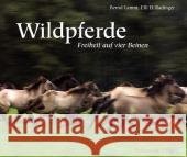 Wildpferde : Freiheit auf vier Beinen Lamm, Bernd Radinger, Elli H.  9783934427846