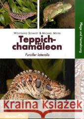 Teppichchamäleon : Furcifer lateralis, Pflege und Vermehrung Schmidt, Wolfgang Meyer, Michael  9783936180251 Herpeton