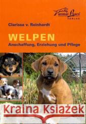 Welpen : Anschaffung, Erziehung und Pflege Reinhardt, Clarissa von   9783936188264